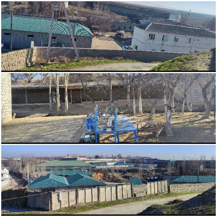 Чиназ у трассы  земля 2.5 гектара
