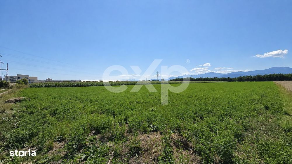 Teren intravilan 17.204 mp Stupini – zona mixta ZM, POT 40%, CUT 1,5