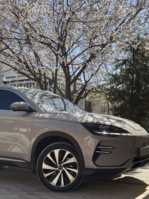 BYD Song Plus Champion 605