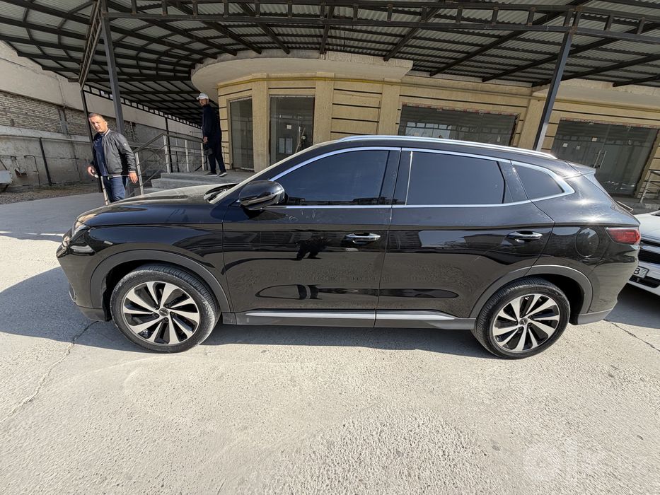 Byd song plus chempion gybrit