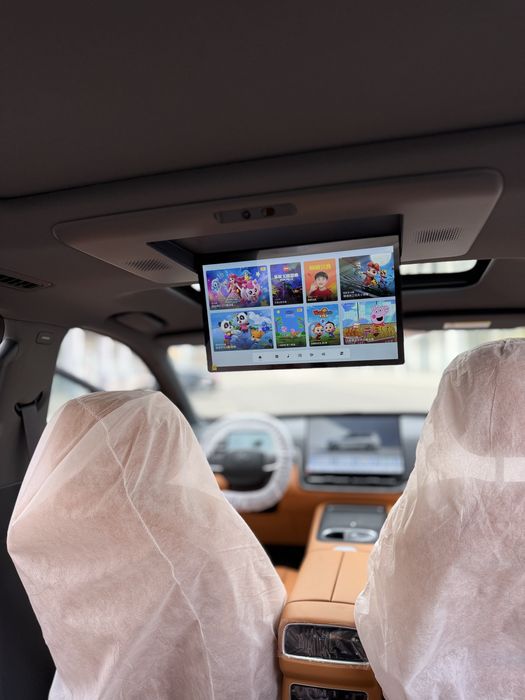 Dong Feng 008 ultra 2026 rest