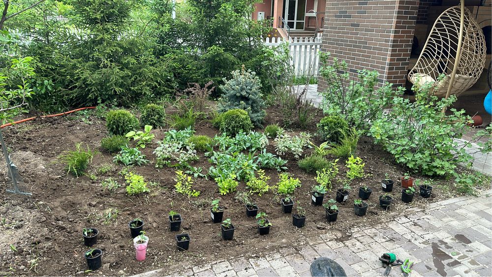 Озеленение участков под ключ