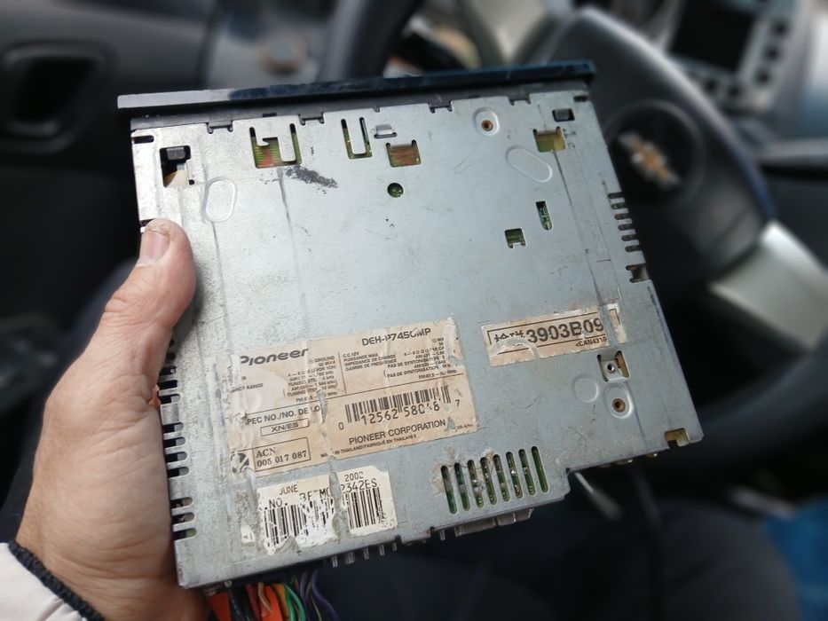 Pioneer delfin mafon