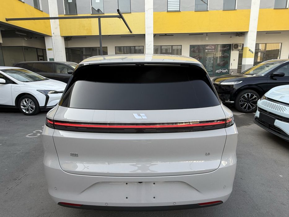 Li 6 max gibrid 2024