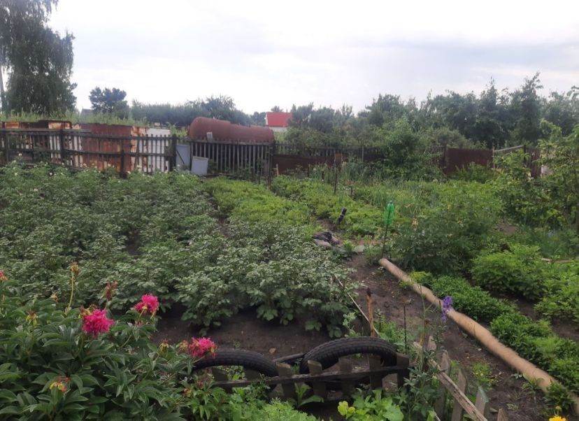 ПРОДАЁТСЯ дача 6 соток !!!