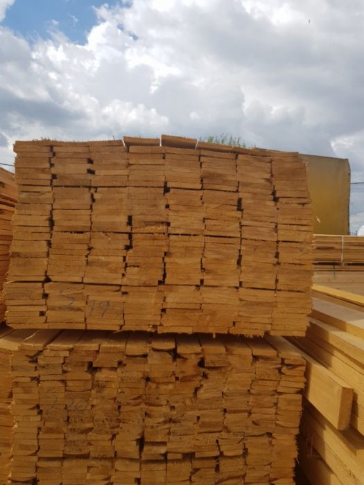 Cherestea molid si brad