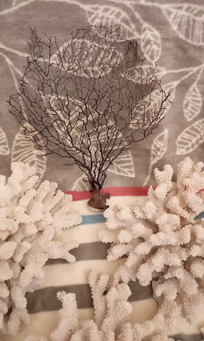 Грот и каралы для аквариума.