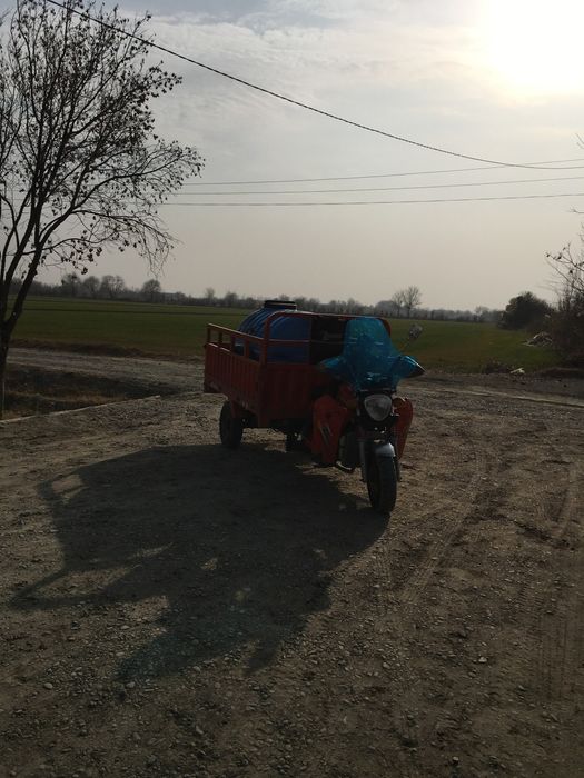 Lochin Moto alo darajada