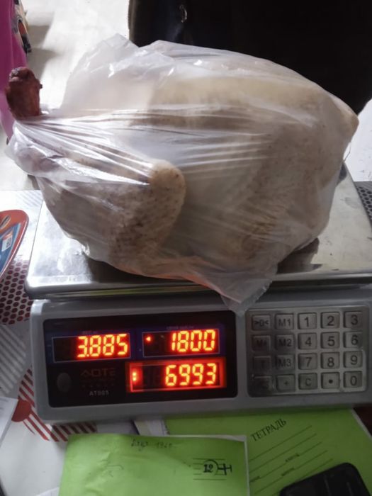 Кобб-500 бройлер