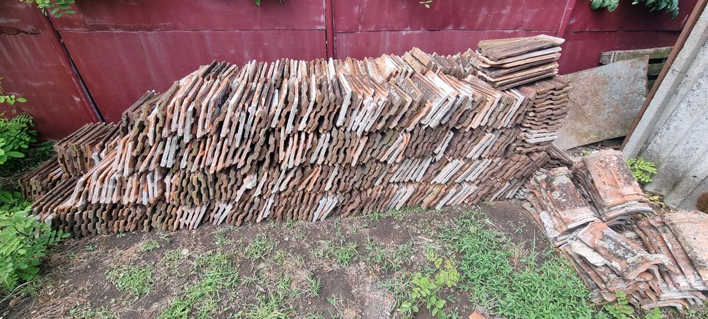 Țiglă leul Jimbolia