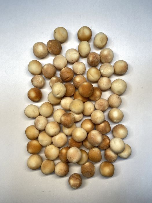 құрт  курт ірімшік