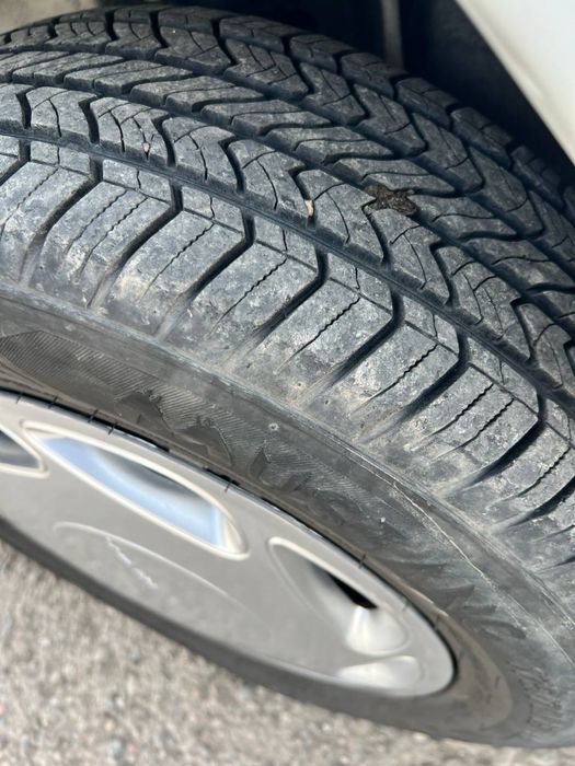 Damas 2024 Газда