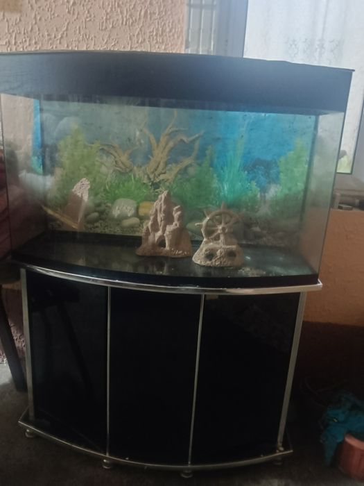 Аквариум для рыб