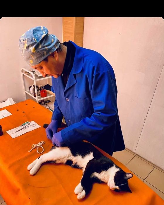 Ветеринарная клиника Doctor Vet!