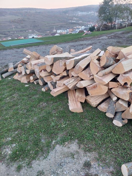 Depozit Vindem Lemn De foc În Jud Cluj