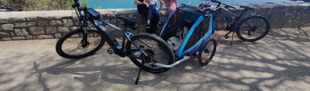 Carucior Thule Coaster XT cu prindere ptr MTB si ptr eBike