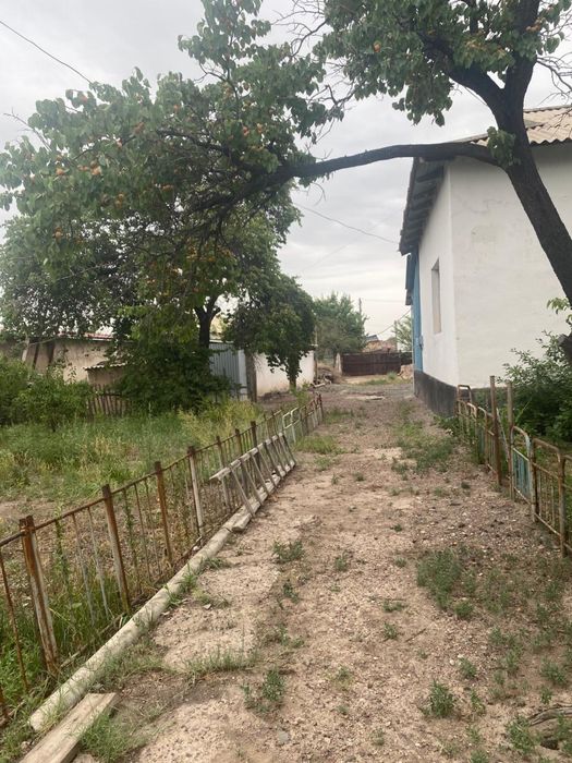 Продам дом в Бахаре