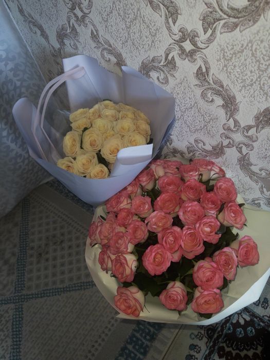 бүгінгі гулдер солайымен тұр 10к дан