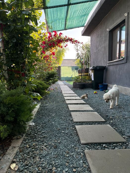 Relax Garden ,curte evenimente private