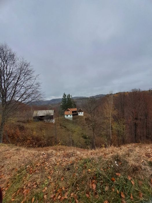 Vând teren+gospodărie