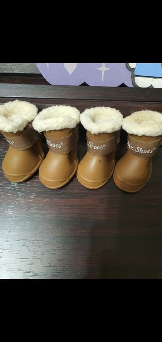 Обувь для собак мелких пород