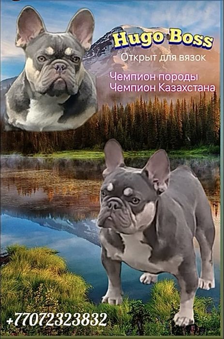 Шикарный мальчик на ВЯЗКУ!