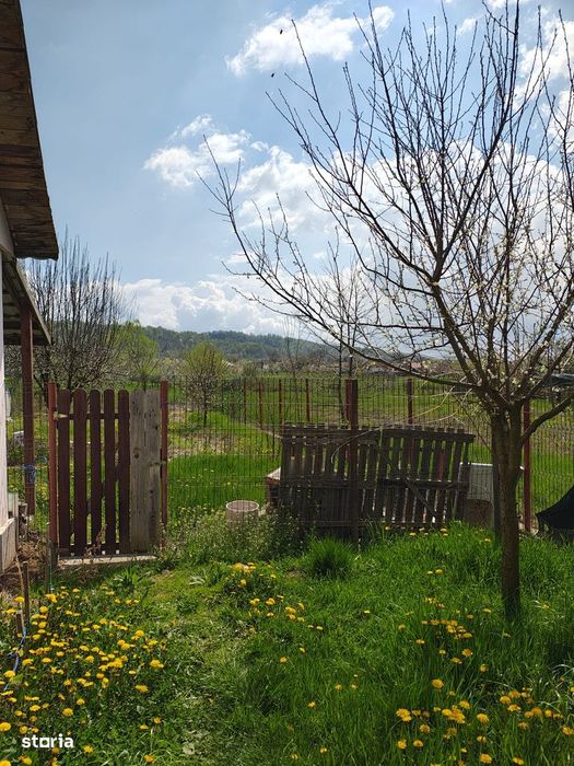 Casă cu teren generos la marginea Parcului Dendrologic