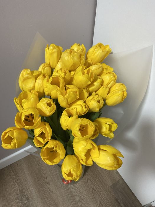 Тюльпаны желтые