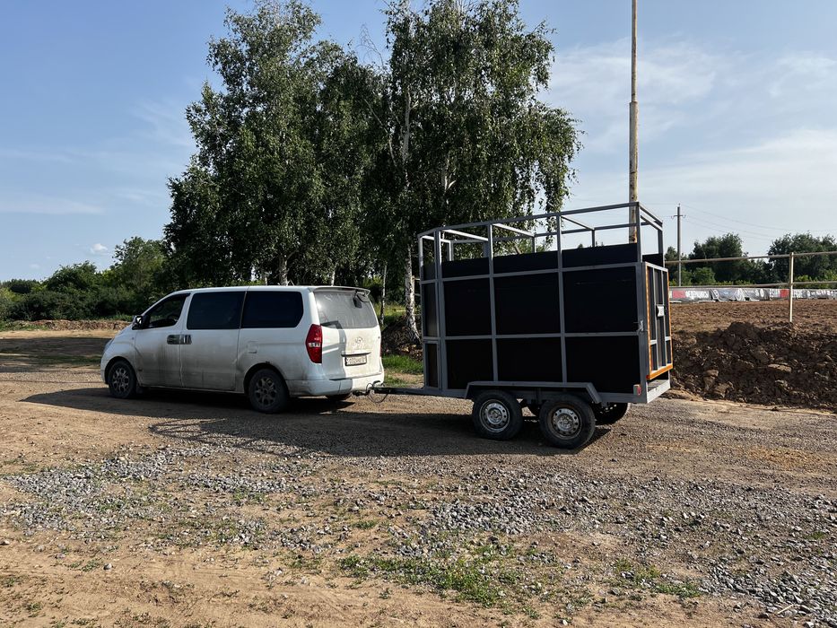 Аренда коневозка легкая