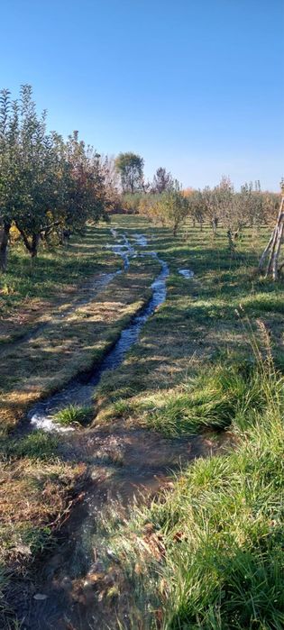 Продажа участка 1.6 га