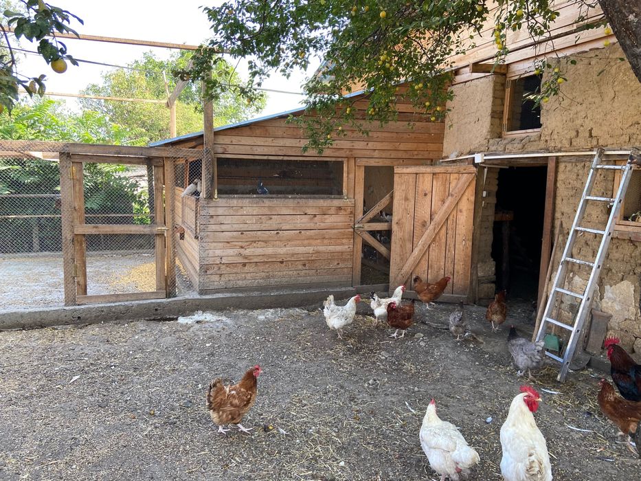 Продава Овцеферма , село Гранит