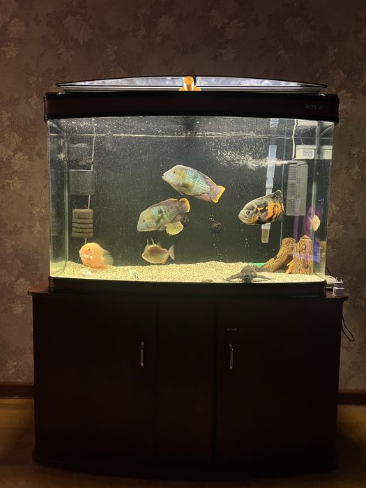 Продам аквариум в сборе с тумбой