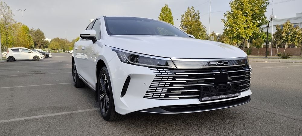 BYD Chazor flagship 120 full Позиция.
