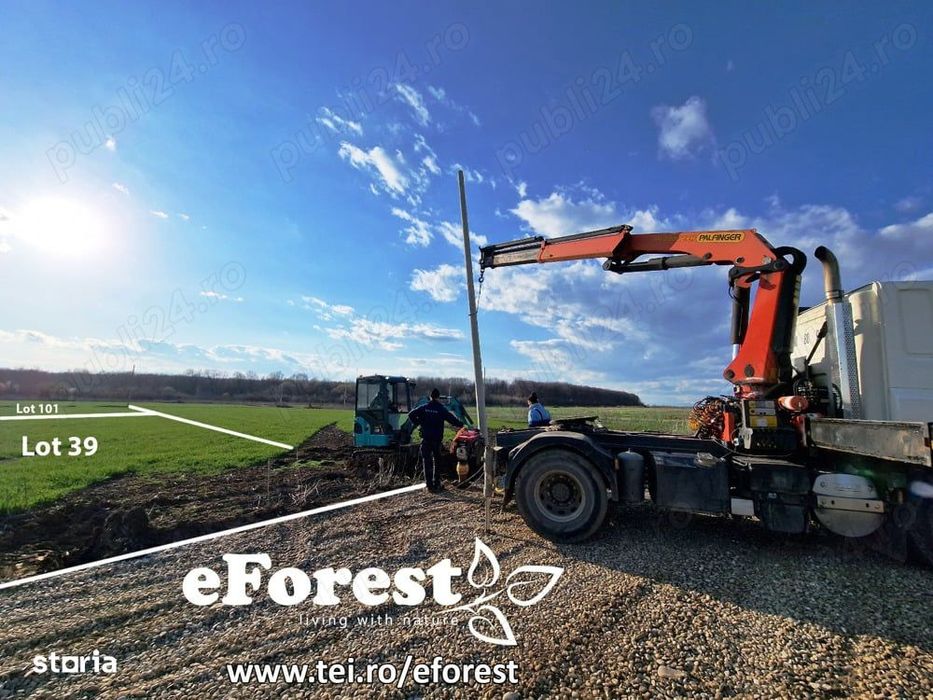 Profită acum de oferta de Paște! Langa padure. zona verde - eForest