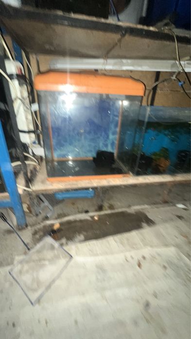 Заводской аквариум