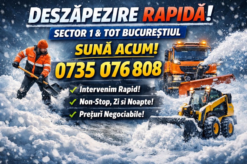 Deszapezire rapida SECTOR 1