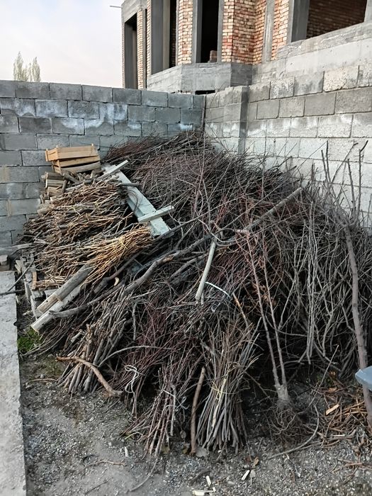 Утин сотилади, курук утин,