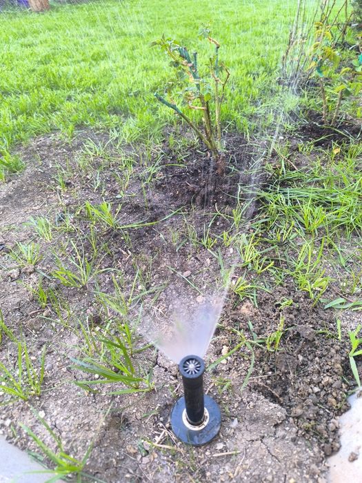 Sisteme automatizate irigatii rezidentiale Buc/IF RainBird/Hunter