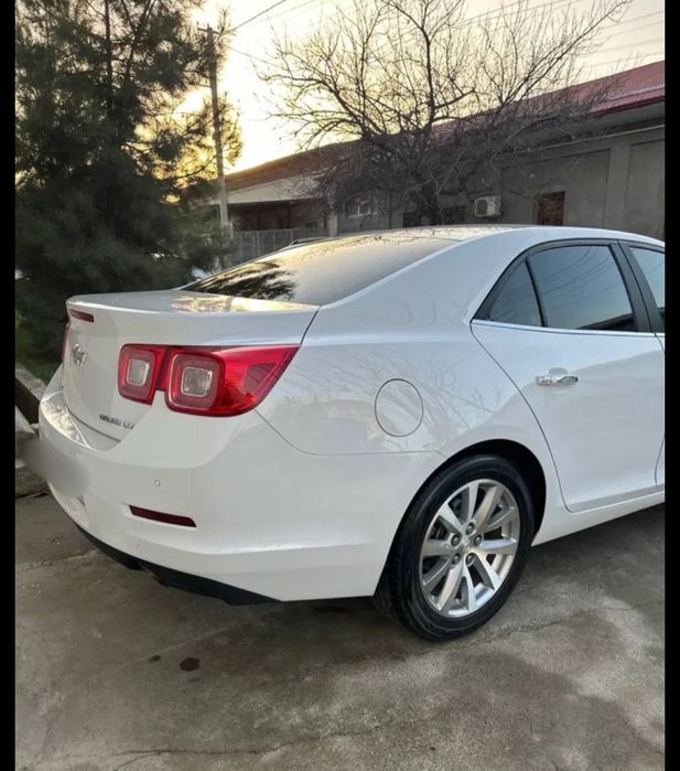 Малибу 1.  3-позициа