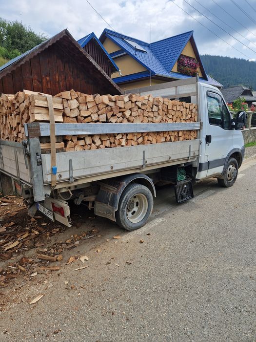 Lemne de foc esenta tare fag