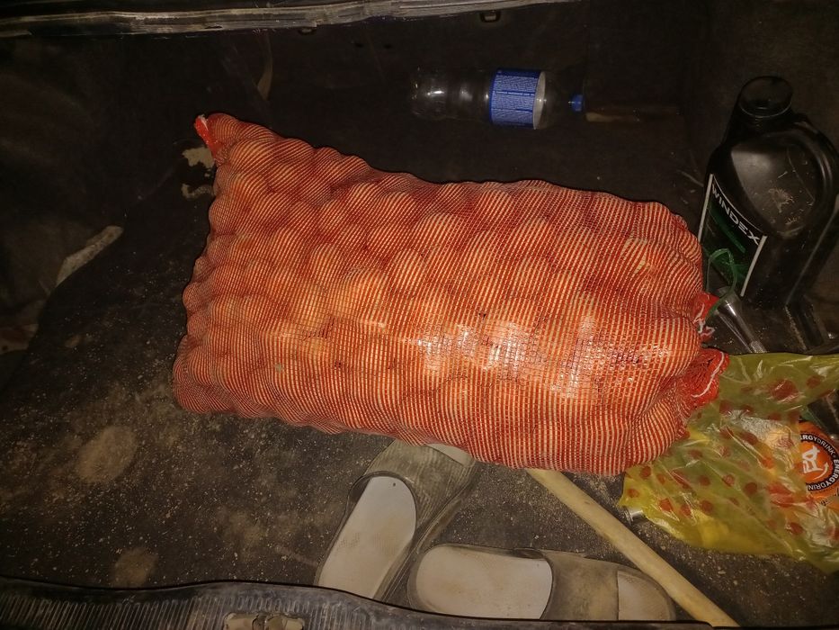 Картошка сатлады