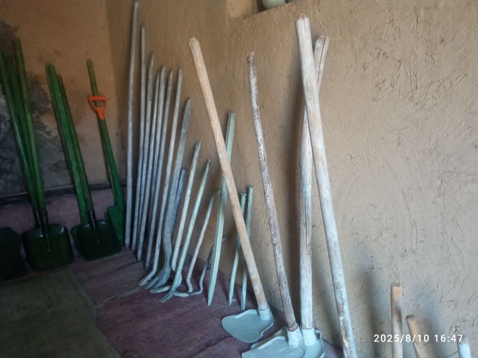 Kunlik Arenda --- Arava va anjom.  60.000 som