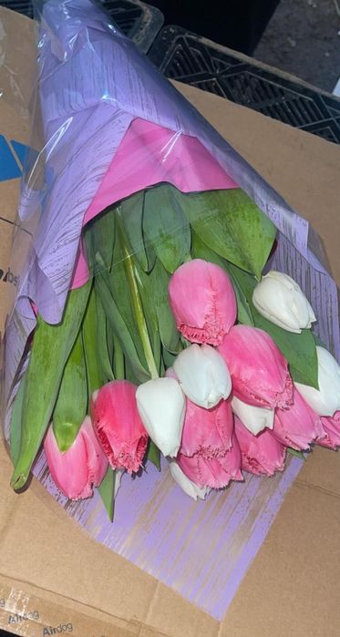 Тюльпаны оптом и в розницу