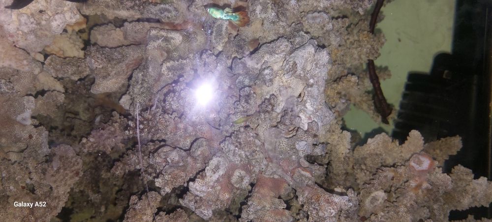 Аквариум на 850 литра