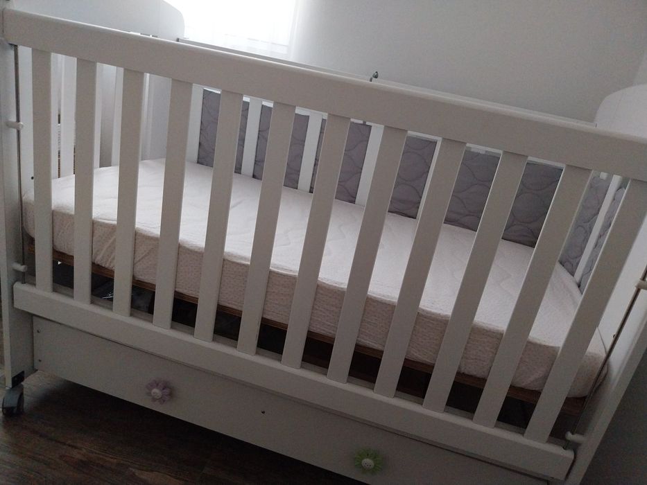 Patut și comanda cu vănita