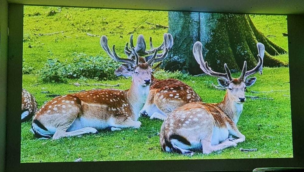 Videoproiector portabil Anker Nebula Capsule 3 Laser