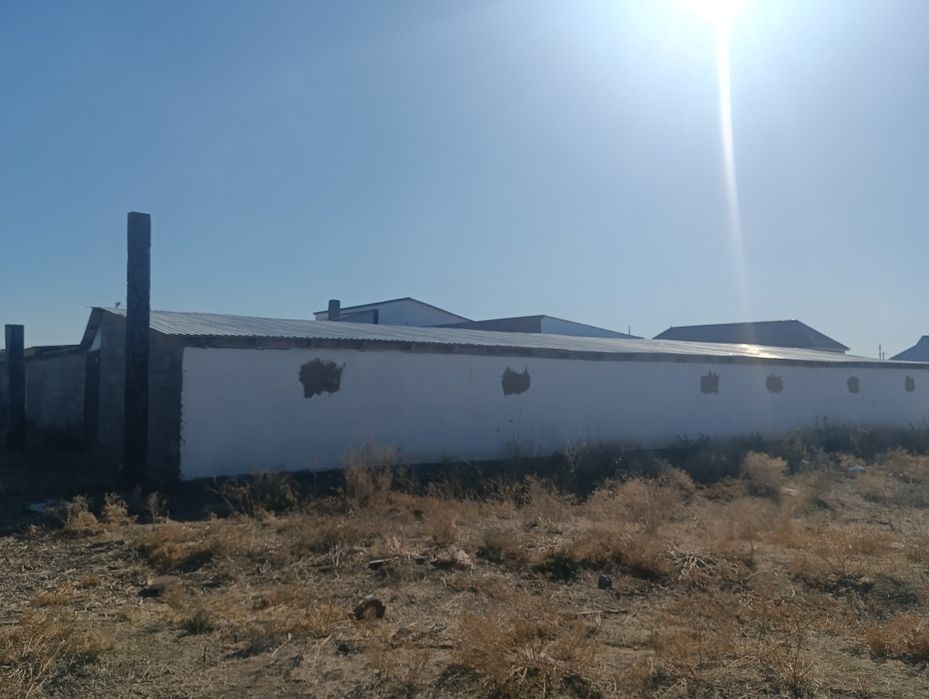 Ореке арты гор газ