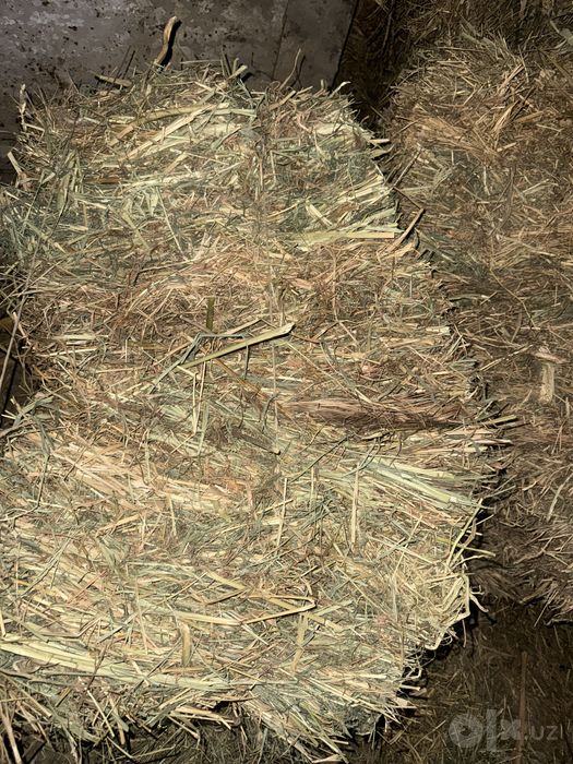 Хашак Ут Hashak Ut Сотилади 28000 миндан 110 та