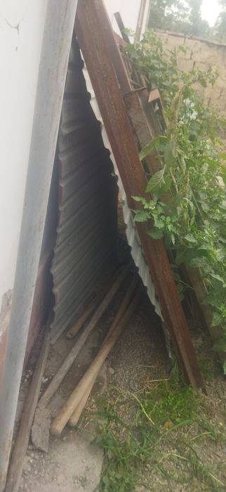 Продам Вальтер для собаки