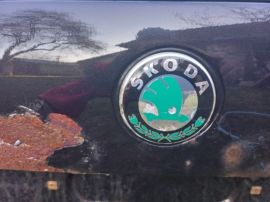 Vand Haion Luneta Skoda Octavia 2 Break